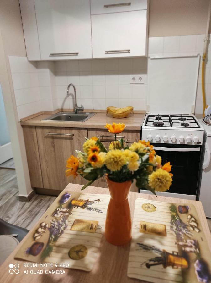 Baross Apartman Kaposvár Exteriér fotografie