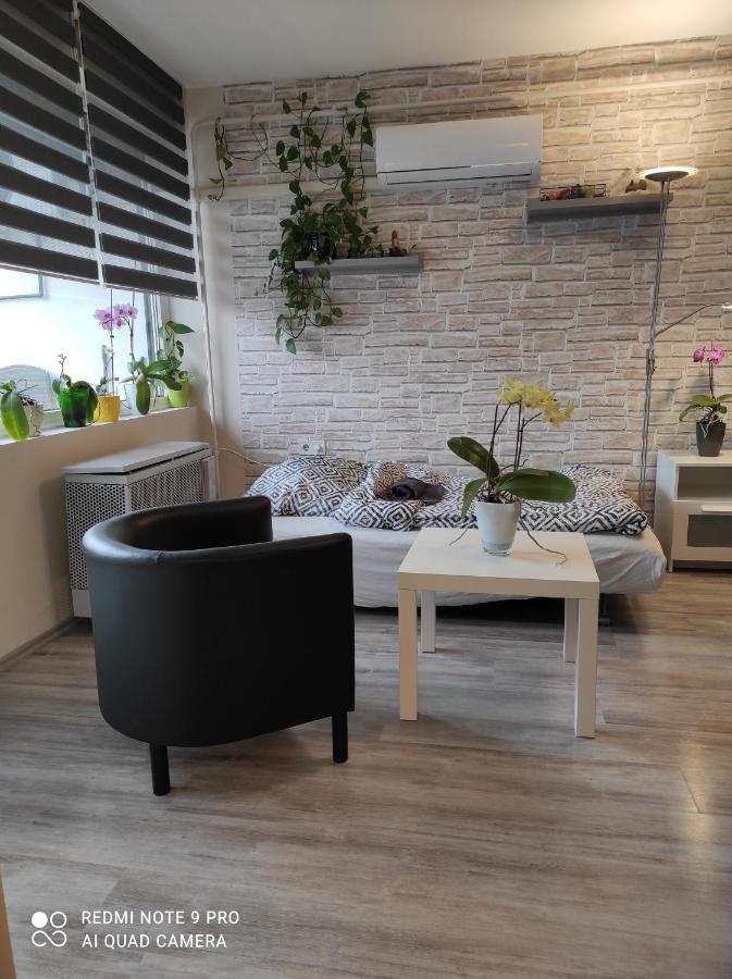 Baross Apartman Kaposvár Exteriér fotografie